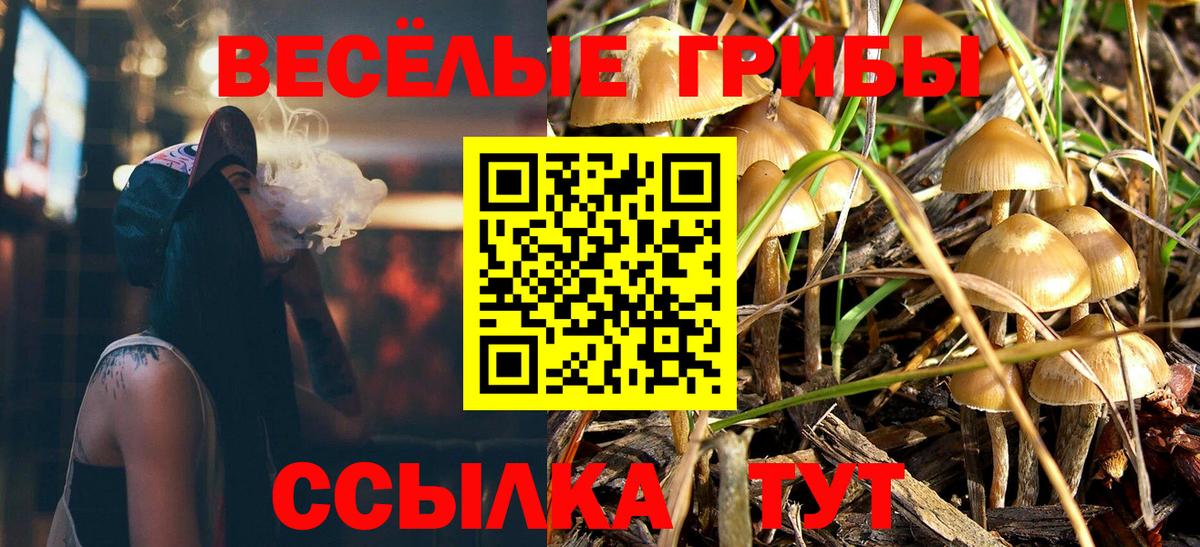 Псилоцибиновые грибы Cubensis Костомукша